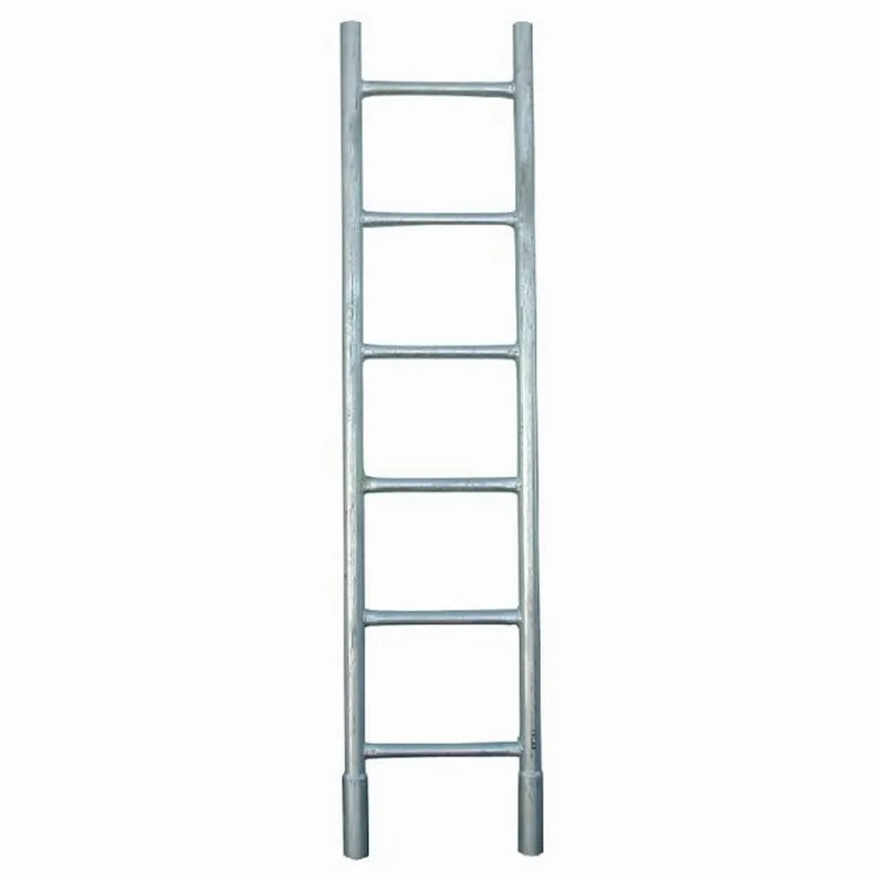 Gegalvaniseerd Ladder Steigers Staal Aap Ladder Toegang Ladder Voor Systeem Steigers