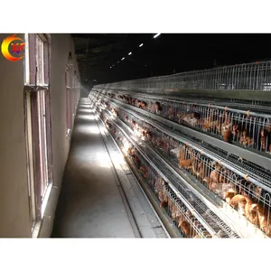 L'acier inoxydable un type batterie met en cage la petite cage de ferme de système pour des poulets