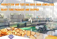 Machine à biscuits hautement recommandée, ligne de production de biscuits, machine à biscuits sandwich