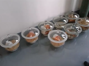 <strong>Mini</strong> Glass <strong>X</strong> <strong>Ray</strong> Generator Tube for NDT Flaw Detector Accessories - Product Image 4