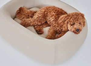 Bestseller: Luxuriöse, Wasserdichte, Orthopädische Hundebettmatte aus Latex mit Abnehmbarem und Waschbarem Bezug – Hundekissen, Haustierbett - Product Image 3