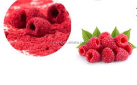 Poudre concentrée de jus de framboise saveur framboise, qualité supérieure, additif alimentaire en poudre de fruits de framboise, produit phare