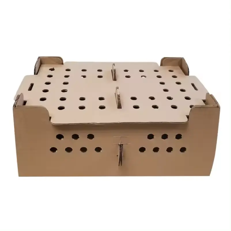 Custom Design Plus Kartonnen Levende Chick Bird Box Duif Verzending Doos Gewaxt Bodem
