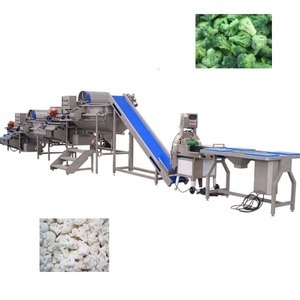 Línea de Producción de Procesamiento de Coliflor y Brócoli Congelados de 1000 kg/h, Máquina para Cortar, Lavar, Escaldar, Secar y <span class=keywords><strong>Congelar</strong></span> - Product Image 1