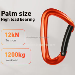 Mosquetón <span class=keywords><strong>de</strong></span> Escalada con Gancho <span class=keywords><strong>de</strong></span> Seguridad <span class=keywords><strong>de</strong></span> 12KN, Personalizable con Logotipo, Proveedor Chino, Mosquetón <span class=keywords><strong>de</strong></span> Aluminio 7075 en Forma <span class=keywords><strong>de</strong></span> D - Product Image 5