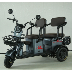 Y3-HL 3 Wheel Electric Scooter <strong>Trike</strong> 48v 3-Wheel <strong>E</strong> Bike with Roof Open Body Type 3 Wheels <strong>Enclosed</strong> Electric Tricycle - Product Image 4