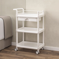 Chariot de rangement mobile professionnel multifonctionnel pour salon de beauté, spa et salle de bain