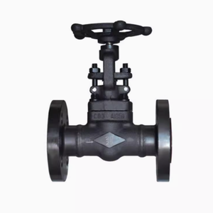 <span class=keywords><strong>J41h</strong></span> giả mạo Van cổng thép - Product Image 2