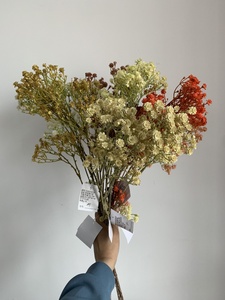 2025 <span class=keywords><strong>nouveau</strong></span> Design vert bébé <span class=keywords><strong>souffle</strong></span> fleurs Simulation vraie touche artificielle bébé <span class=keywords><strong>souffle</strong></span> pour la famille mariage saint valentin - Product Image 3