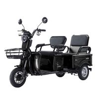 Tricycle électrique cargo Paige 600W 800W 1000W, personnalisé en usine, pas cher, pour adultes, avec cabine fermée, tricycle à moteur électrique personnel