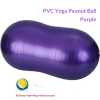 Ballon de yoga en PVC anti-éclatement pour Pilates, gym, fitness, massage et entraînement d'équilibre, avec pompe et outil de démontage