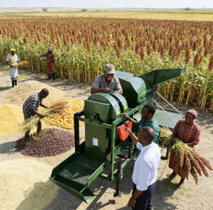 Batteuse multifonctionnelle diesel 12 CV à haute efficacité pour le traitement des céréales (sorgho, millet, maïs, soja) pour la récolte agricole HJ-950 - Product Image 2