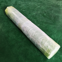 Bande transporteuse de tapis en feutre d'alimentation automatique 3695 955 2.5 MM pour machine IECHO PK 1209