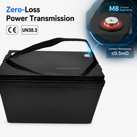 Batterie LiFePO4 VOLTRA 12,8 V 100 Ah avec étui ABS et sangle, conception portable, qualité industrielle professionnelle B2B pour stockage solaire domestique