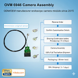 OVM6946-RANA Circuits intégrés (CI) neufs et originaux, service de sourcing BOM unique, ISO13485, IPX8, Ureteroscope <span class=keywords><strong>Bron</strong></span> Camera - Product Image 2