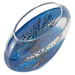 Mini Pecera de Vidrio Hygger a Precio de Mayoreo para Niños HG-975 - Product Image 4