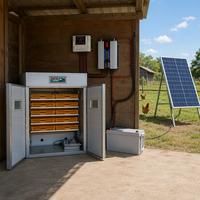 Incubateur d'œufs automatique à prix avantageux, 880 œufs, alimenté à l'énergie solaire, couveuse à batterie
