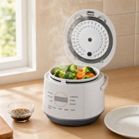 Mini-cuiseur à riz électrique 400W 1L, cuve en céramique, forme tambour, portable, cuisson rapide, maintien au chaud automatique avec minuteur