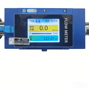 取り外し可能なディスプレイ付き酸素流量計 0-300SLPM ガス/空気流量計 精度2% RS485 ガス発生装置用 - Product Image 1