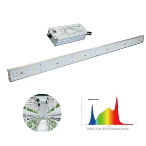 JK Phytolamp Spektrum Penuh Dapat Diredupkan untuk Tanaman Lampu Pertumbuhan Led Bar Tunggal 100W 125W 150W