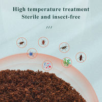 Substrat pour reptiles en fibres de noix de coco naturelles - Mélange de sable et de terre pour terrarium écologique pour tortues et lézards