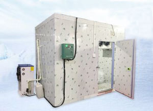 Hete Verkopende Container Walk-In Koude Opslagruimte Emerson Gear 10-100 Ton Capaciteit Voor Vlees Visgroenten Frisheid Fruit - Product Image 6