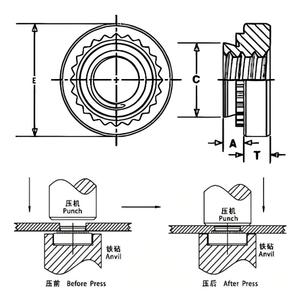 Descuento M5 M6 M8 M10 Zinc plateado Grado 4 Clase 8 Acero al carbono AISI 1035 Tuerca ciega Tuerca de autocierre - Product Image 4