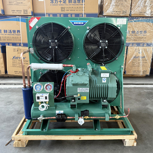 H-tipo unità di condensazione raffreddata ad aria con compressore Semi-ermetico Bitzer/Copeland/Frascold per il sistema di cella frigorifera - Product Image 1