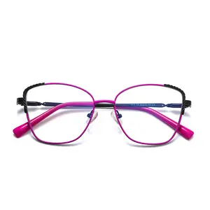 Lmamba Hersteller Custom Luxus Metall Scharnier Brillen Anti Blaulicht Brille Optische Brillen fassungen