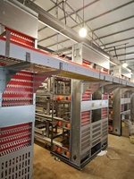 Cages à poules pondeuses en batterie durables pour l'élevage automatique de volailles à œufs de type H