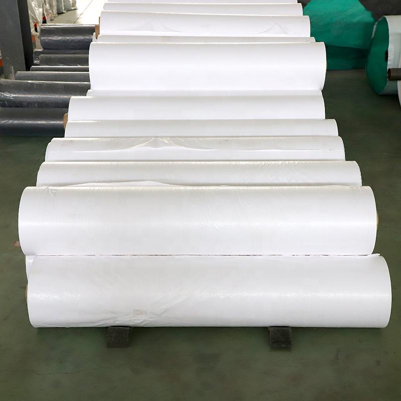 Anti Raffia Polypropylene Laminated PP Woven Fabric Roll - GRS CE Certified