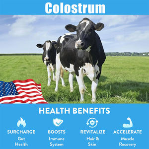 טבעי bovine collostrum פרמיה דשא האכלה קולסטרום תמיכה במעיים & חסינות מוצרים בריאות גומות טבעוני colustrum - Product Image 5