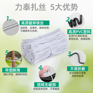สายรัดเคเบิ้ล Lts ขนาด 0.8-2.0 มม. PVC - Product Image 1