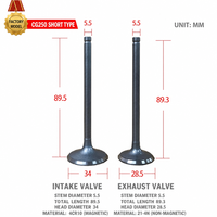 Kit de soupapes d'admission et d'échappement pour moto, compatible avec le modèle CG250 de type court, pour moteurs Honda CG250 série 4 temps