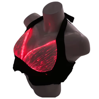 Sous-vêtements de soutien-gorge à fibres optiques lumineuses pour femmes lumière LED Costume de danse du ventre arabe sexy pour les fêtes