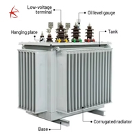 Transformador de Distribución de Energía Trifásico de 10KV 100KVA Sumergido en Aceite con Bobina de Triple Enrollamiento y Topología Flyback
