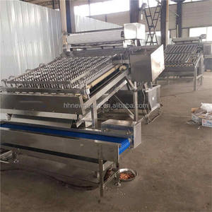 Small Sized <b>Shrimp</b> Peelers <b>for</b> <b>Sale</b> 2024 Efficiency Fresh <b>Shrimp</b> Peeling Shell Removing Processing Machine - Product Image 4