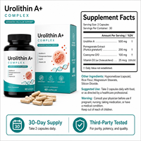 Urolithin A Haute Puissance 500mg en Capsules Testé par un tiers pour l'Énergie Cellulaire et le Soutien de la Santé Musculaire OEM Marque Privée