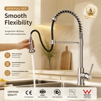 Robinet de cuisine commercial en acier inoxydable avec douchette extractible à ressort, monocommande, finition brossée, à poser sur comptoir, mitigeur eau chaude et froide
