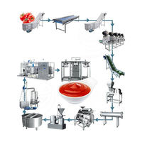 Ligne de production industrielle de transformation des fruits, machine à fabriquer de la sauce tomate, du ketchup, lavage, écrasement, pulpage, stérilisation des tomates