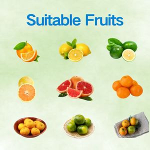 Extractor de Jugo de Naranja Vinh, Máquina Exprimidora de Mandarina Effendi, Prensa de Cítricos para Naranja <span class=keywords><strong>Sevilla</strong></span>, Máquina Exprimidora de Naranja Parson Brown - Product Image 6