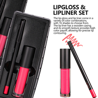 Cosmétiques de maquillage 2 en 1 brillant à lèvres combo capuchon rond brillant à lèvres repulpant de marque privée avec boîte de crayon à lèvres personnalisée