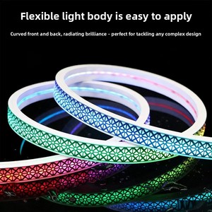 Tira de <span class=keywords><strong>Luz</strong></span> LED RGB Programable, <span class=keywords><strong>Luz</strong></span> de Neón de Silicona Antideslumbrante, Resistente al Agua IP67, para Iluminación Comercial y de Eventos - Product Image 5