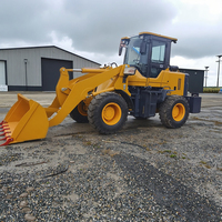 Mini-excavatrice chinoise multifonctionnelle pour la rénovation de petites exploitations agricoles, alimentée au diesel, avec roulement de boîte de vitesses, garantie 1 an, faible coût de transport