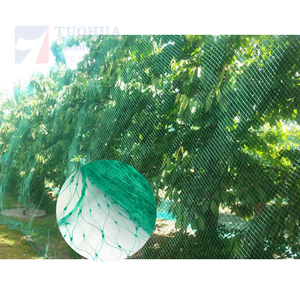 <span class=keywords><strong>Filet</strong></span> anti-oiseaux <span class=keywords><strong>de</strong></span> haute qualité, facile à utiliser, pour la <span class=keywords><strong>protection</strong></span> des vergers et des jardins - Product Image 1