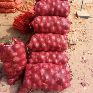 Bền Chất Lượng Cao Hành Tây Bao Bì Túi Khoai Tây Tỏi Tươi Gừng Cam Màu Xanh Lá Cây Đậu Đậu Phộng Củi Bao Bì Túi - Product Image 4