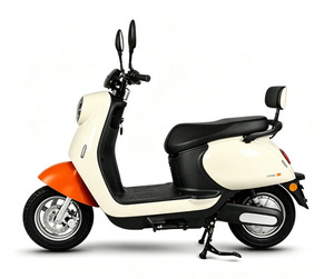 Kit de conversion de scooter électrique 1000W pour adultes, système de vélo électrique pour enfants, vente de motos électriques pas chères - Product Image 1