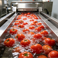 Ligne de production automatique de sauce tomate/ketchup et de produits à base de fruits et légumes, équipement de stérilisation et de pasteurisation alimentaire pour usage professionnel