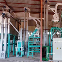 Convient aux investisseurs avec des rendements initiaux élevés de 30-50t/D Machine à moudre la farine de maïs