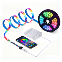 Bande LED Flexible RGB 8mm à Changement de Couleur, Alimentée par Piles AAA, Contrôle Intelligent par APP, IP65, pour Décoration de Fêtes et Chambres à Coucher (Vente en Gros)